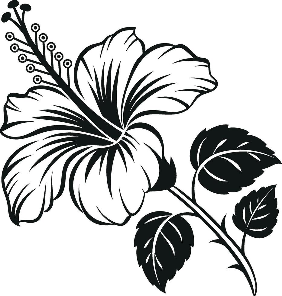 Black and White Hibiscus Silhouette Vectors High Quality Design