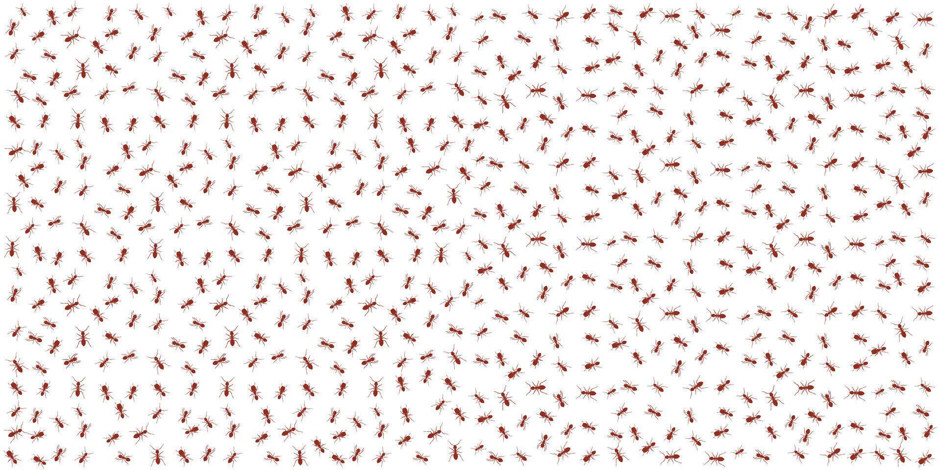 Background pattern of a group of ants illustration vector