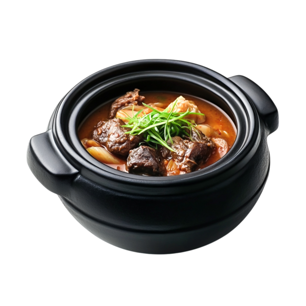 Delicious Beef Stew in Black Clay Pot with Fresh Green Onions Garnish png