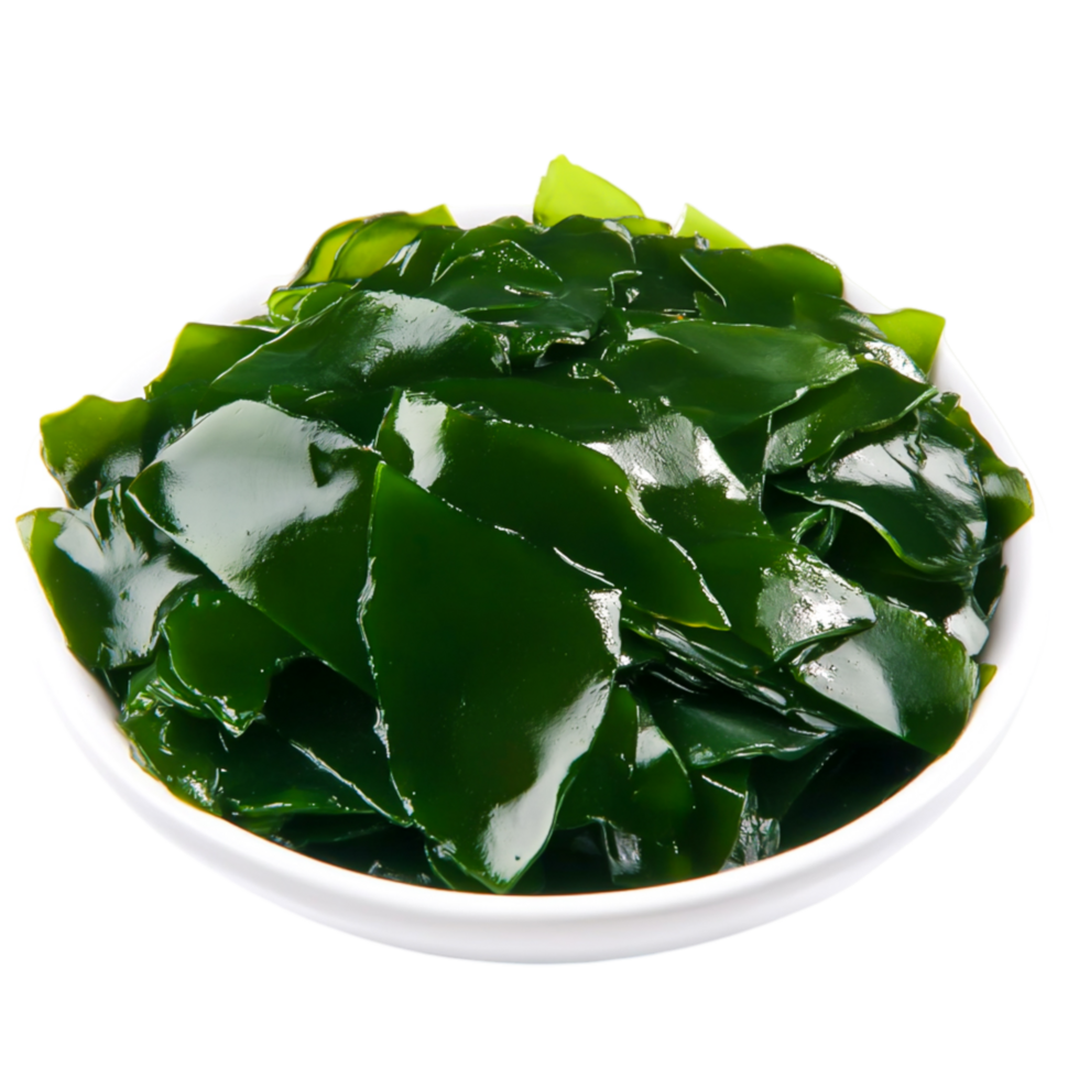 Fresh Green Seaweed Salad in White Bowl for Healthy Culinary Dishes png