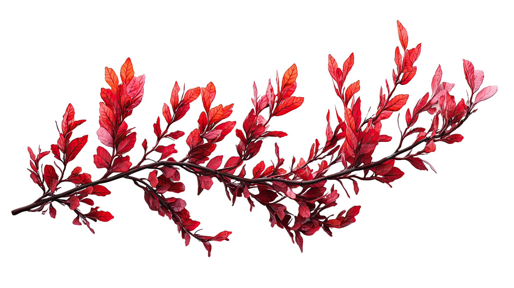 Red autumn leaves branch, isolated on transparent background png