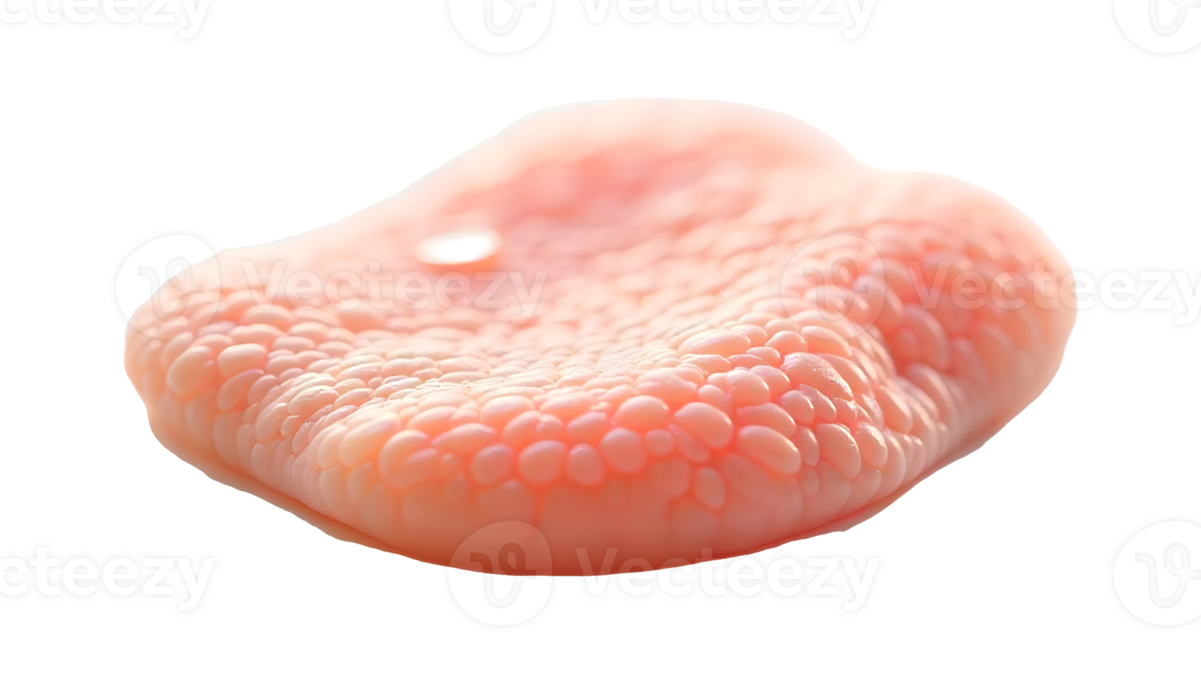 Close-Up View of Human Skin Anatomy and Texture Details png