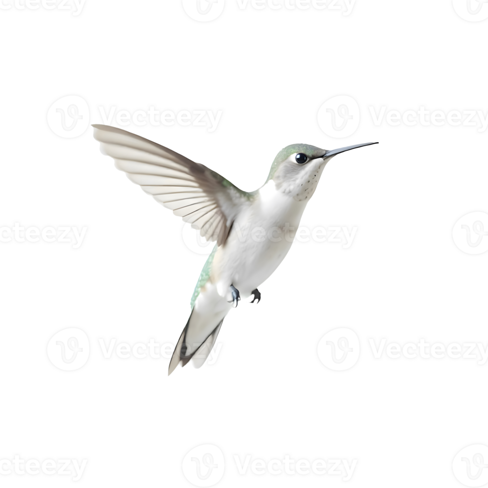 Green Hummingbird Hovering In Mid Flight With Wings Outstretched Feeding On Nectar png