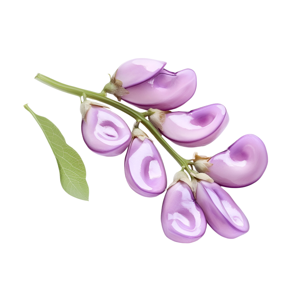 Fresh Purple Eggplant Transparent Background png