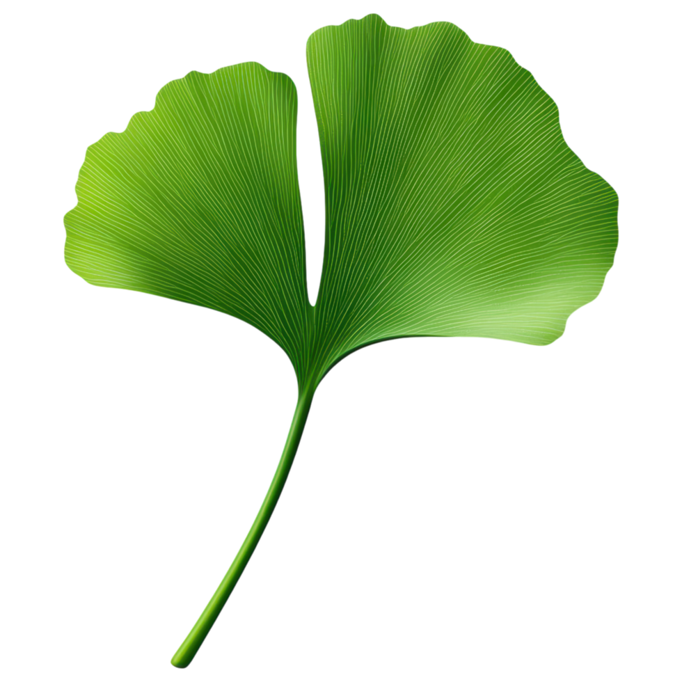Free Isolated on Transparent Background, vibrant green leaf showcases intricate veins and unique shape png