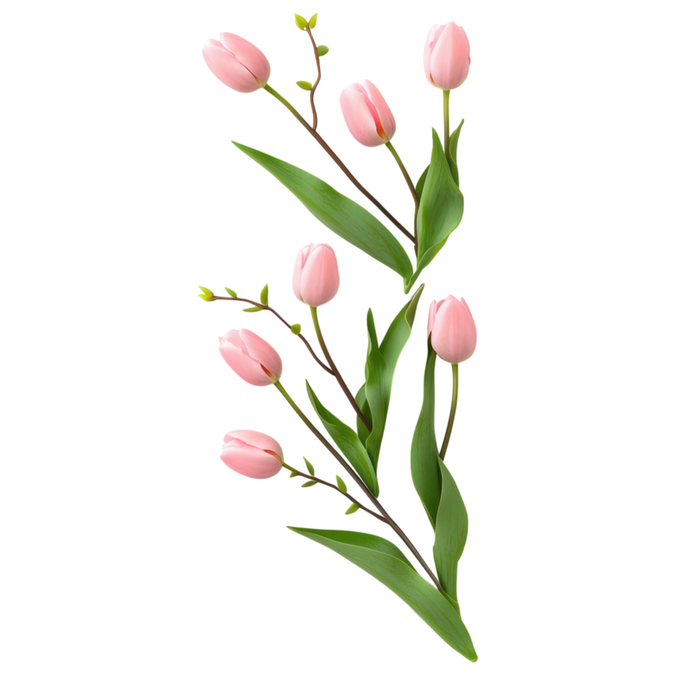Free Isolated on Transparent Background, Beautiful pink flowers with green leaves create lovely frame of nature elegance png