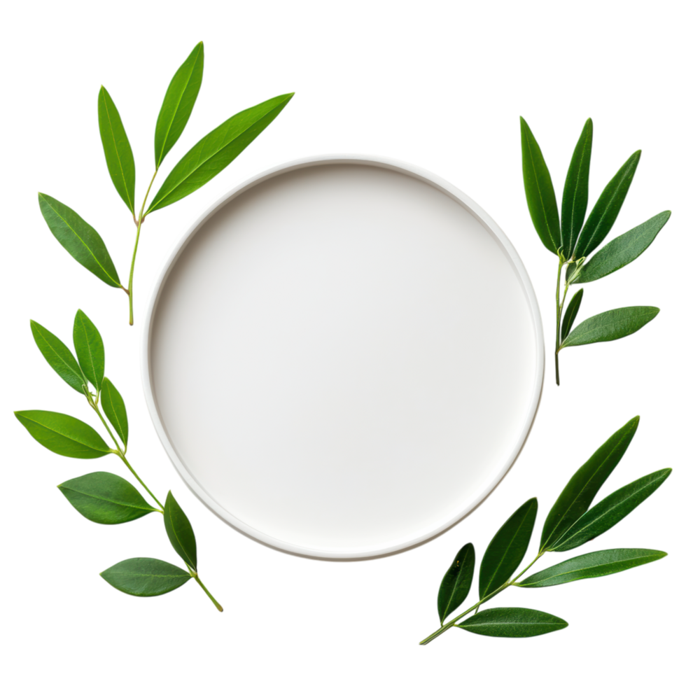 Free Isolated on Transparent Background, beautiful white plate surrounded by vibrant green leaves creates fresh and natural frame png