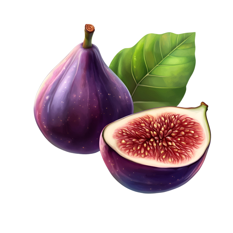 Juicy Purple Fig And Leaf Transparent Background png