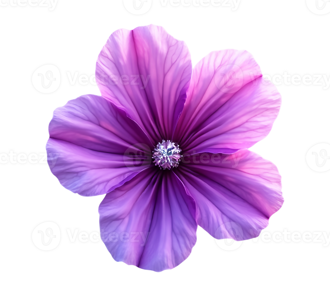 purple flower isolated on background png