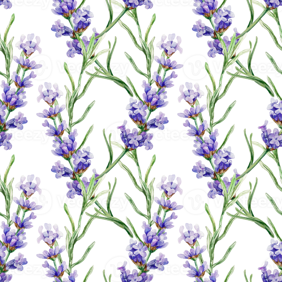 Lavender flowers and leaves seamless pattern. Hand drawn watercolor illustration. For textile, covers, fabric, wrapping paper, wallpaper. png