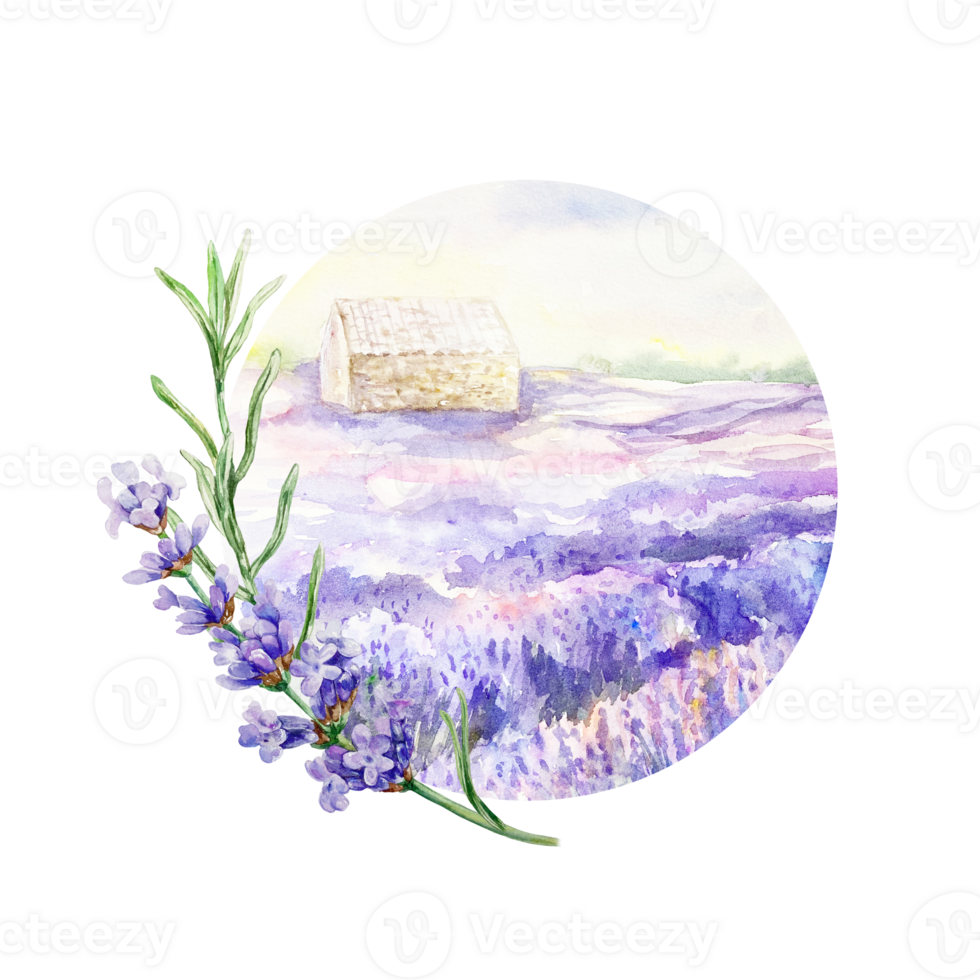 Lavender field with house and twig. Hand drawn watercolor illustration of purple Provencal flowers. For birthday cards, wedding invitations, cosmetics labels, stickers. png