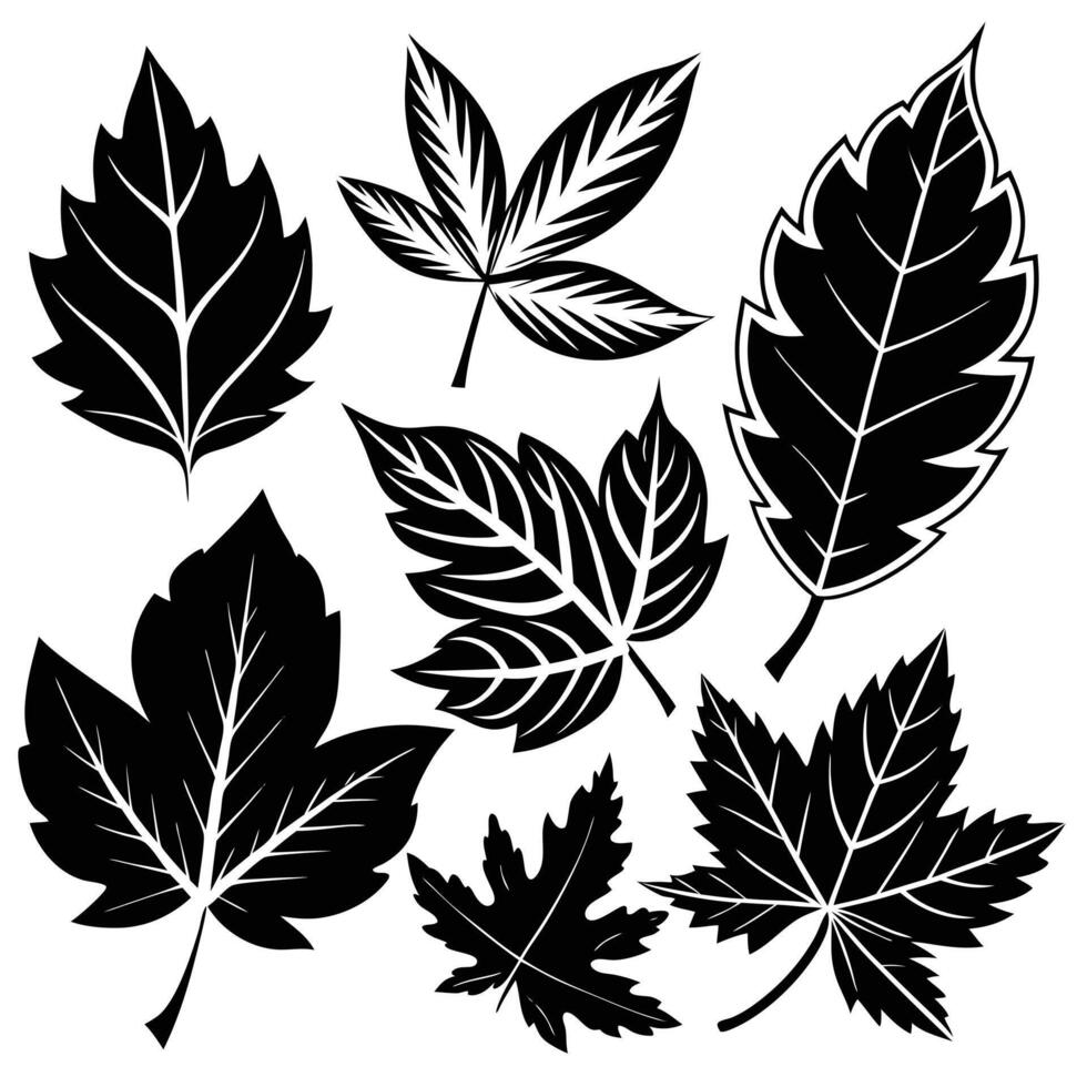 Vibrant Silhouettes of Multicolored Autumn Leaves vector