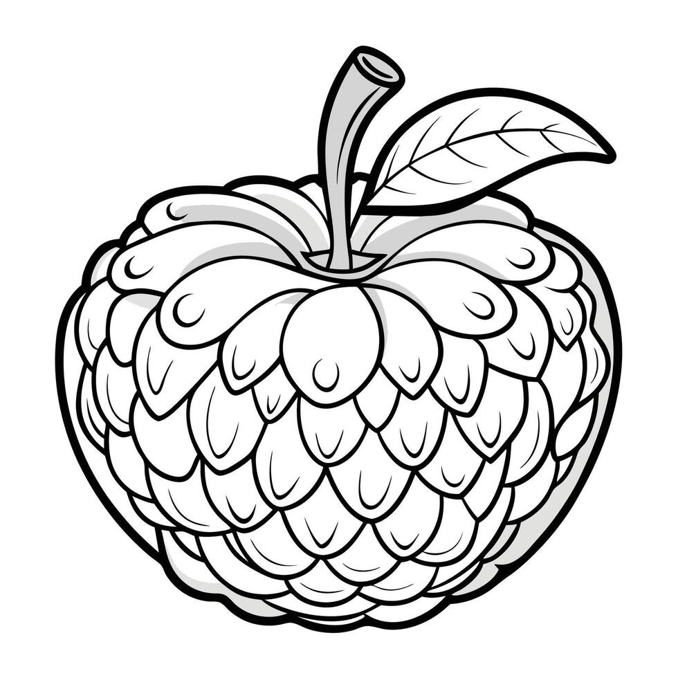 Hand Drawn Water Apple Illustration Isolated on Transparent Background vector