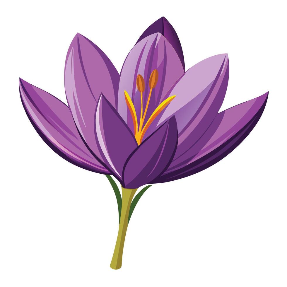 Vibrant Cartoon Illustration of an Isolated Saffron vector
