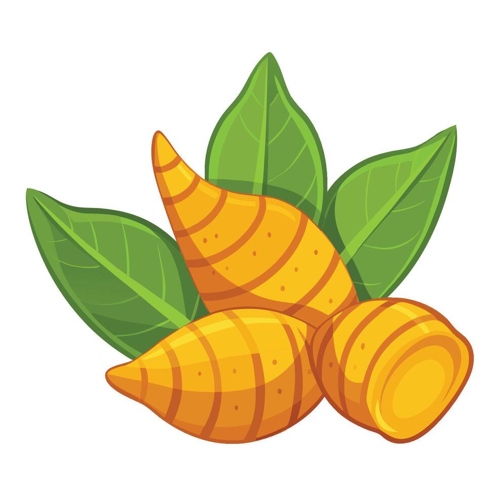 Vibrant Cartoon Illustration of an Isolated Turmeric vector