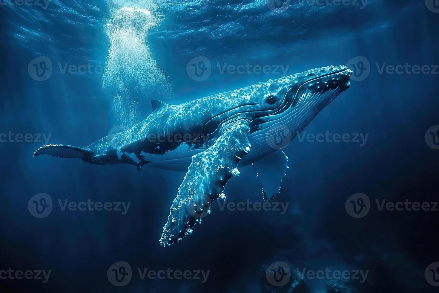 Humpback whale swimming underwater. Whale in natural habitat. Generated by artificial intelligence photo