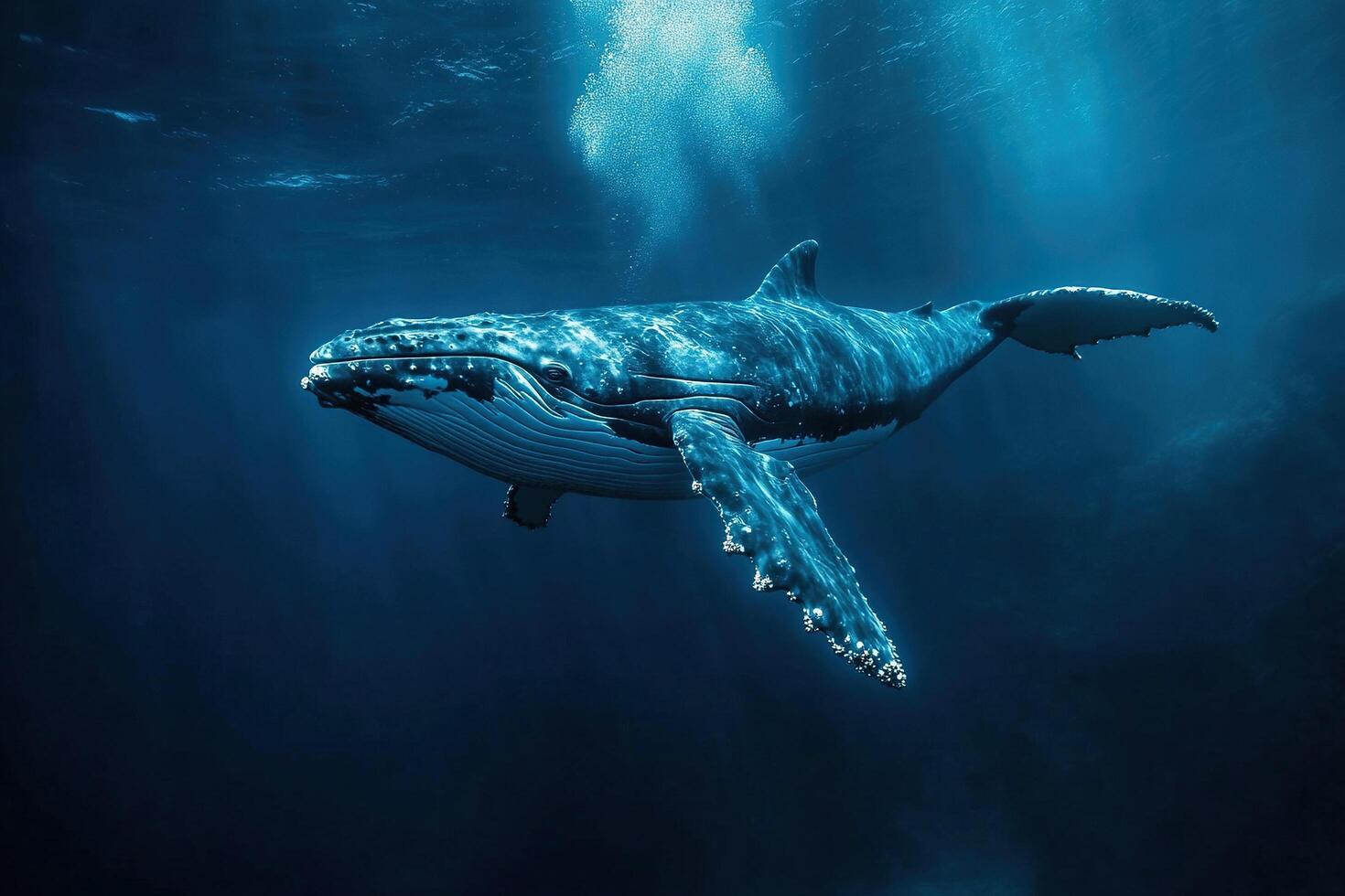 Underwater photo of a whale swimming calmly in the ocean. Humpback whale underwater. Generated by artificial intelligence