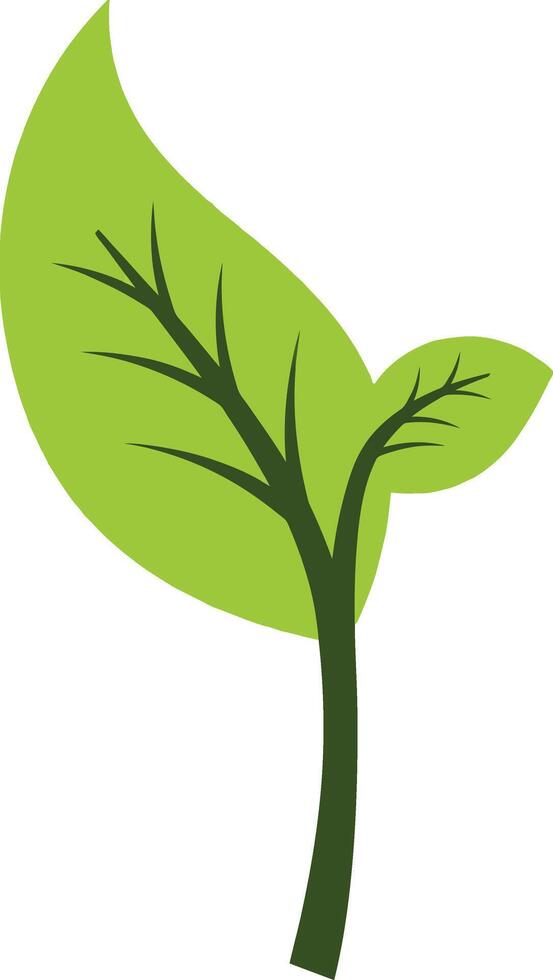 Green leaf design featuring intricate branches in a minimal style showcasing natures beauty in art vector