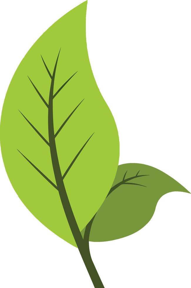 Green leaves with detailed veins and smooth edges in a minimalistic style showcasing natures beauty as art vector