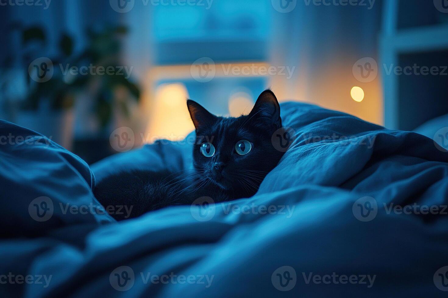 Black cat lies in owner's cozy bed in darkness with open eyes. Generated by artificial intelligence photo