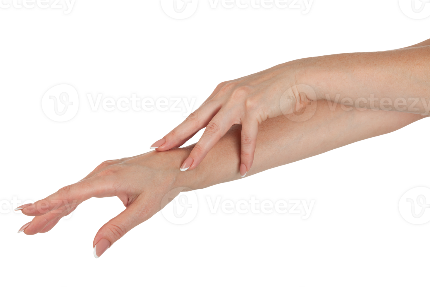 Beautiful female hands with french manicure on the nails isolated png