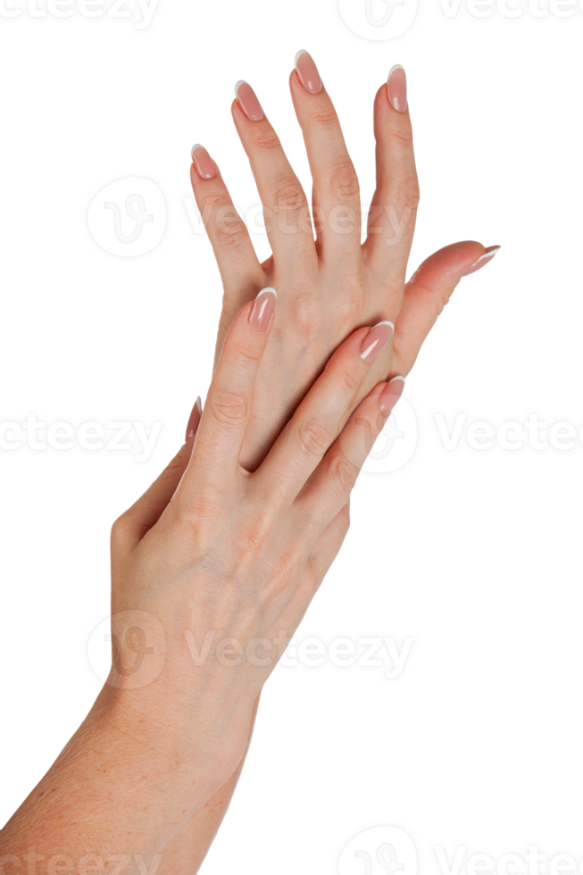 Beautiful female hands with french manicure on nails isolated png