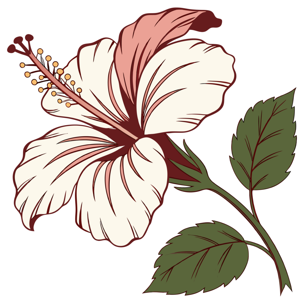 a flower with leaves and petals on a transparent background png