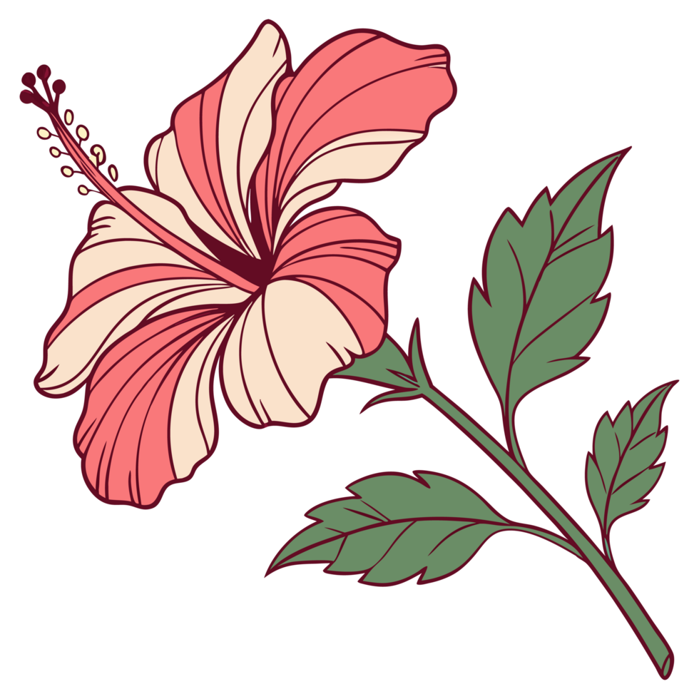 a flower with pink petals on a transparent background png