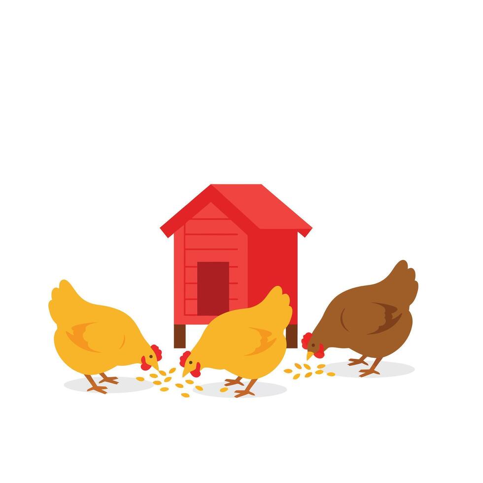 Three chickens pecking at grains near a bright red chicken coop in a cheerful flat illustration vector