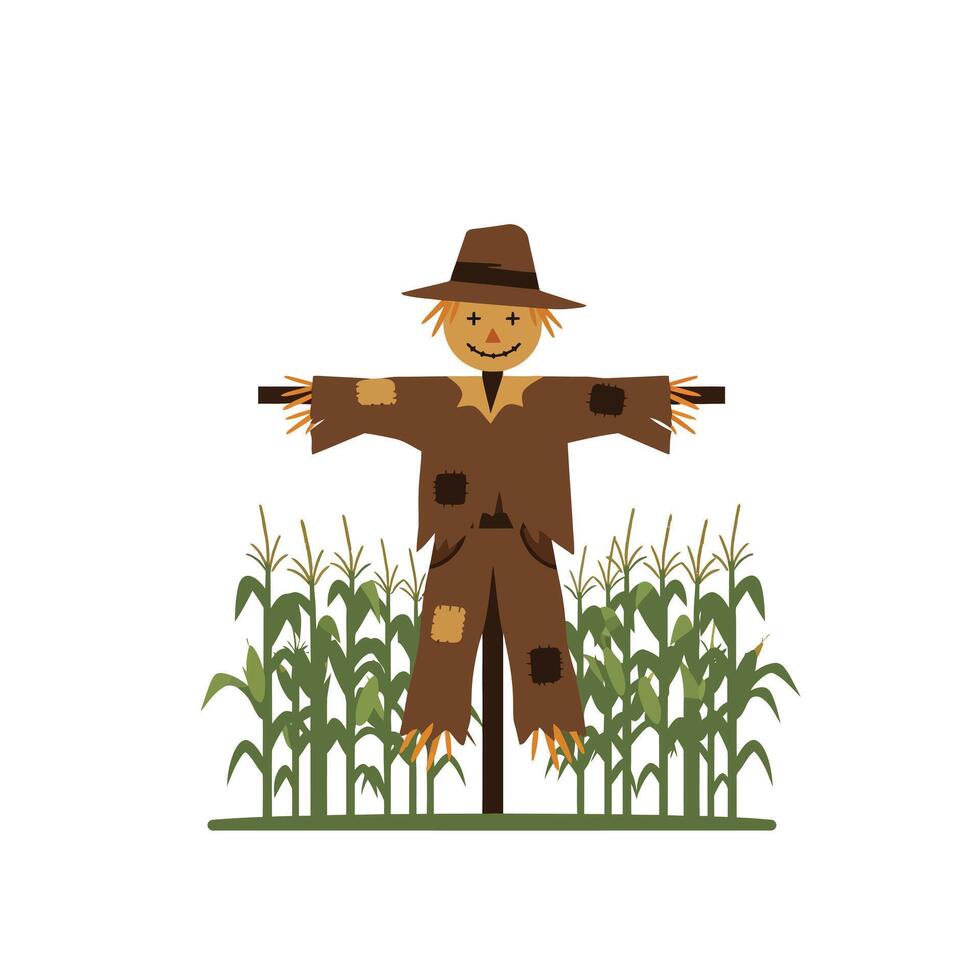 A cheerful scarecrow standing among green corn stalks in a flat design style illustration vector
