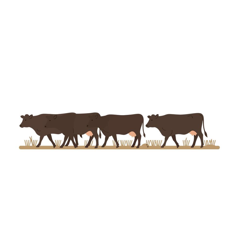 A group of four brown cows walking in a line across a grassy field in flat art vector