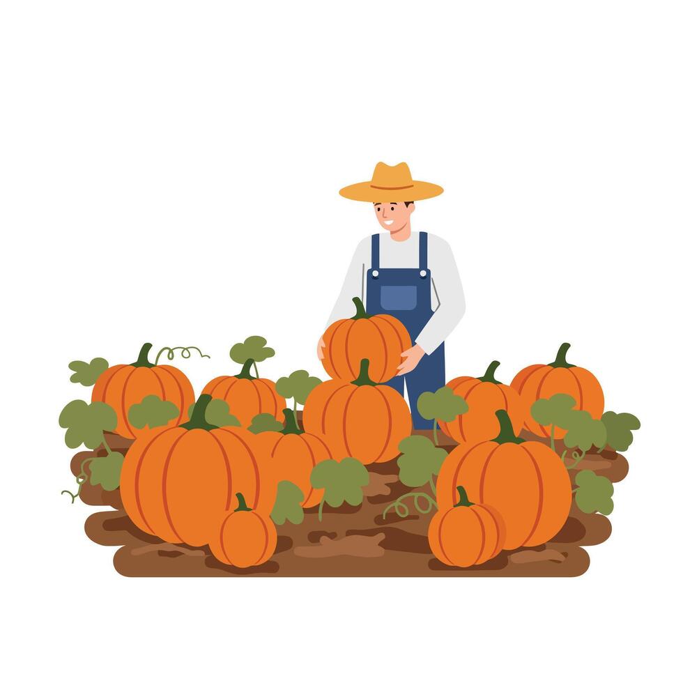 Farmer harvesting bright orange pumpkins in a lush garden setting with flat design style art vector