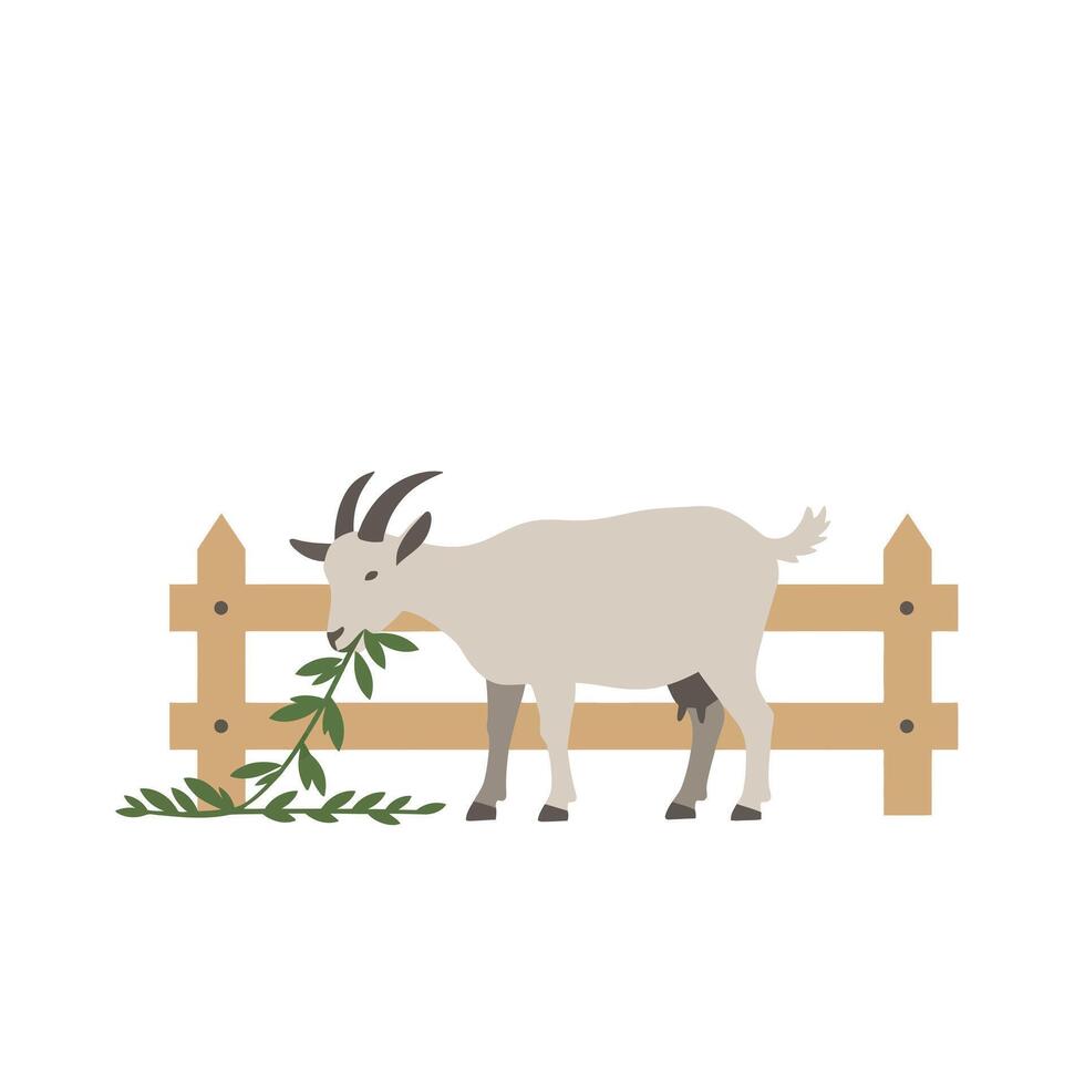 Goat grazing on fresh greenery beside a wooden fence in minimal flat design art vector