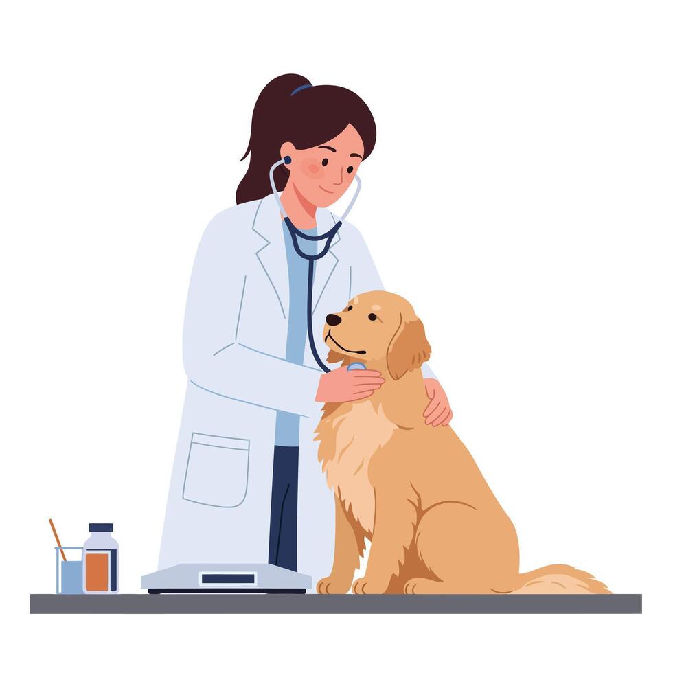 Caring veterinarian in a white coat gently examines a friendly golden retriever dog in a flat illustration vector