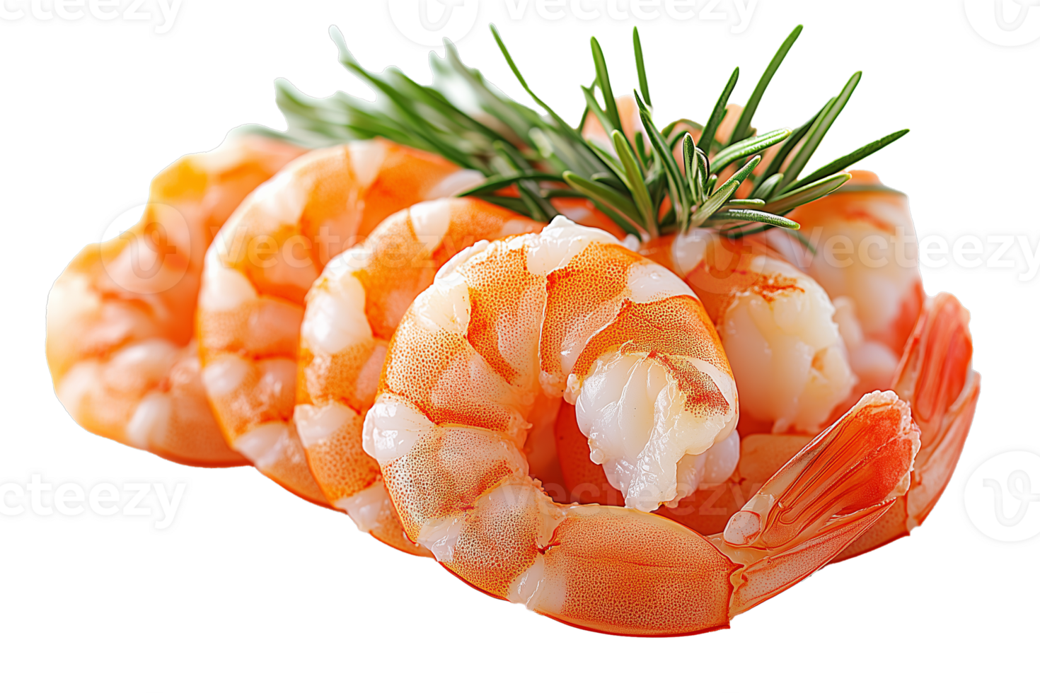 shrimp with rosemary on top of it png