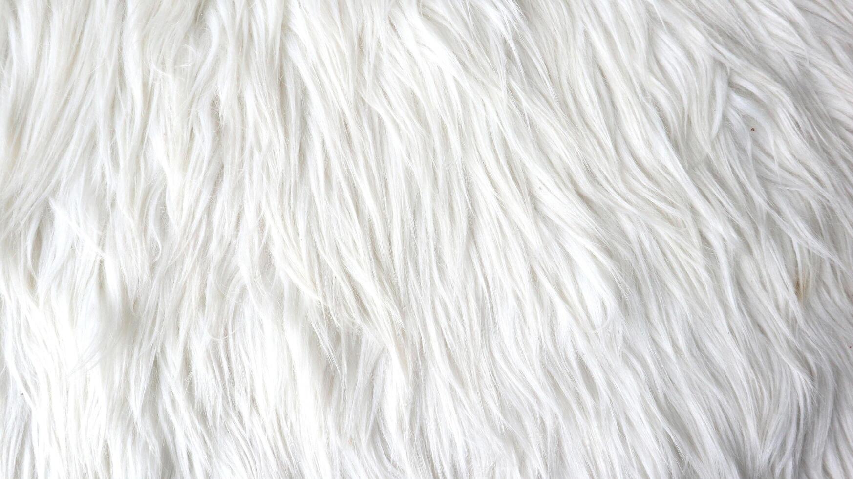 Abstract white fur texture close up photo