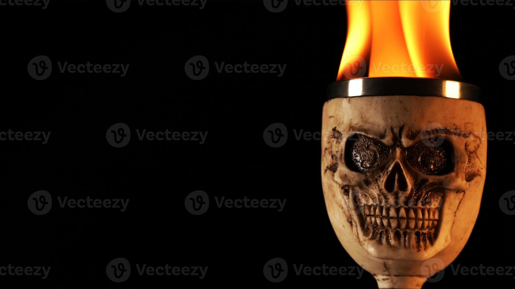 Head Skull burning in flames 03 photo
