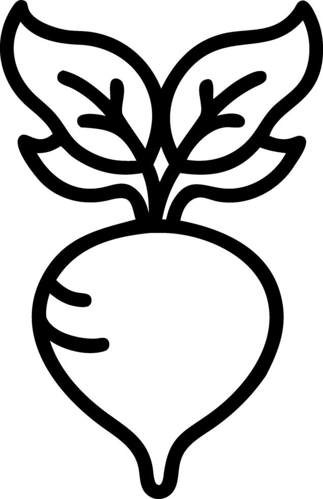 Vintage Botanical Turnip Illustration vector