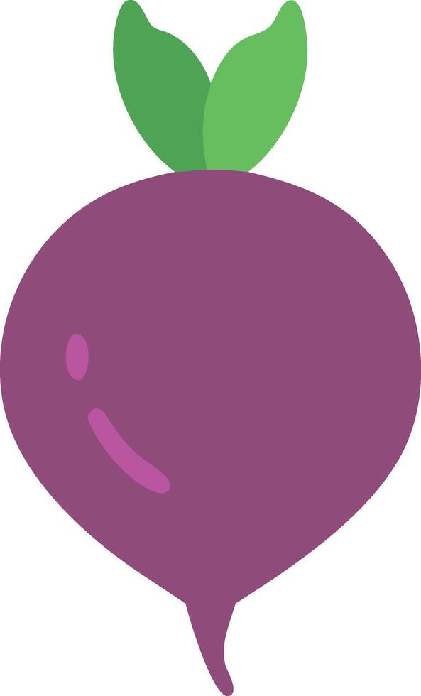 Turnip with Water Droplets for a Fresh Look vector