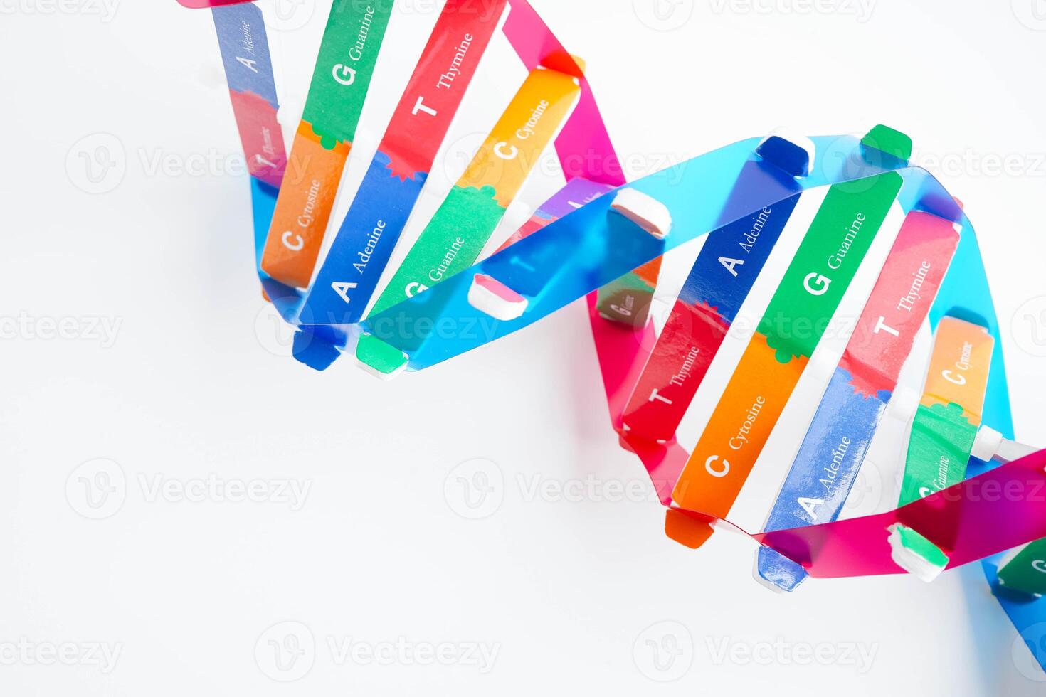DNA molecule spiral structure model isolated on white background, chromosome and gene chemical science b photo