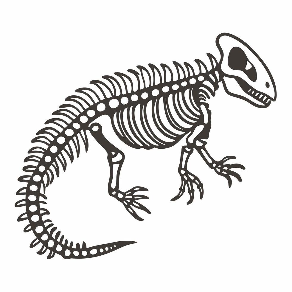 Dinosaur Skeleton Illustration Detailed Prehistoric Reptile Fossil Design vector