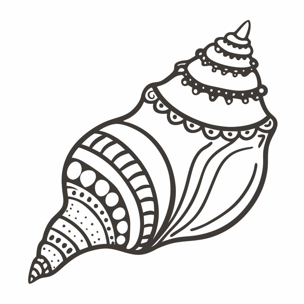 Detailed Black and White Seashell Illustration with Intricate s vector