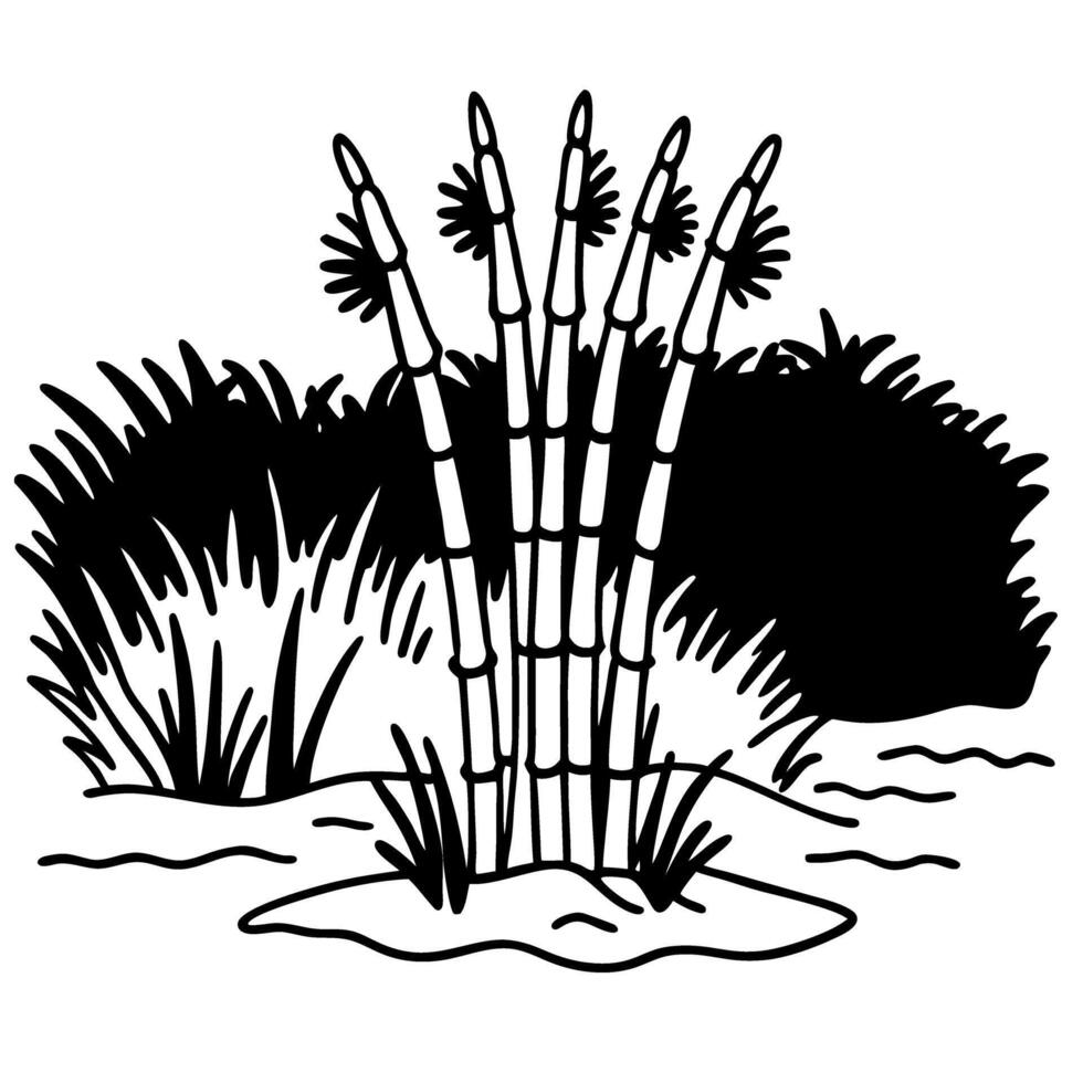 Sugarcane illustration in natural landscape with lush grasses and detailed design vector