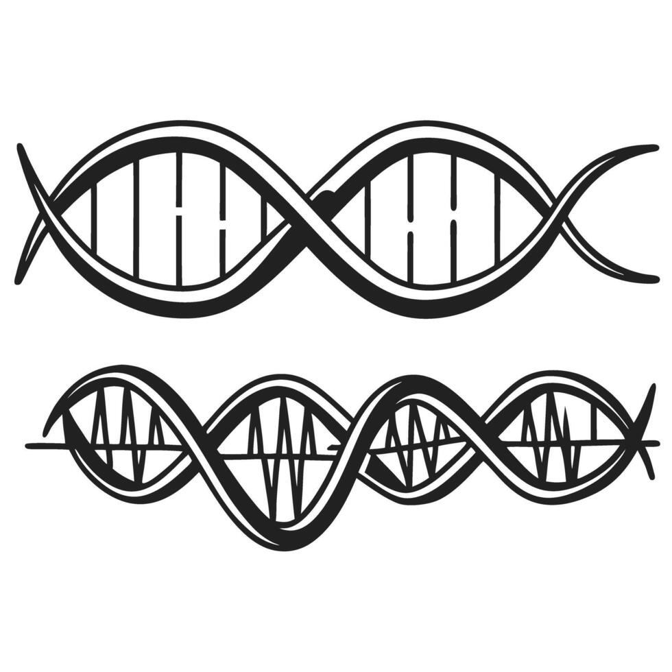 Black and white dna helix illustrations with lines and waves vector