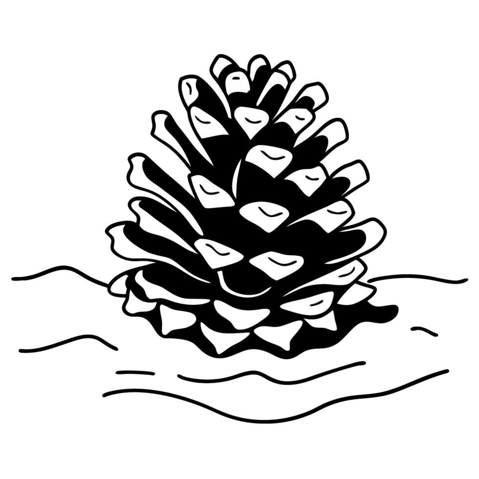 Pine cone illustration on white background, black and white sketch, nature and botanical art vector