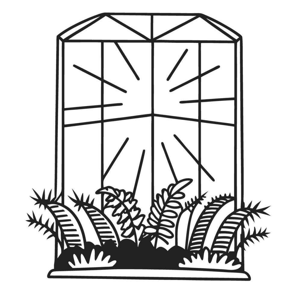 Greenhouse with tropical ferns and sunlight rays vector