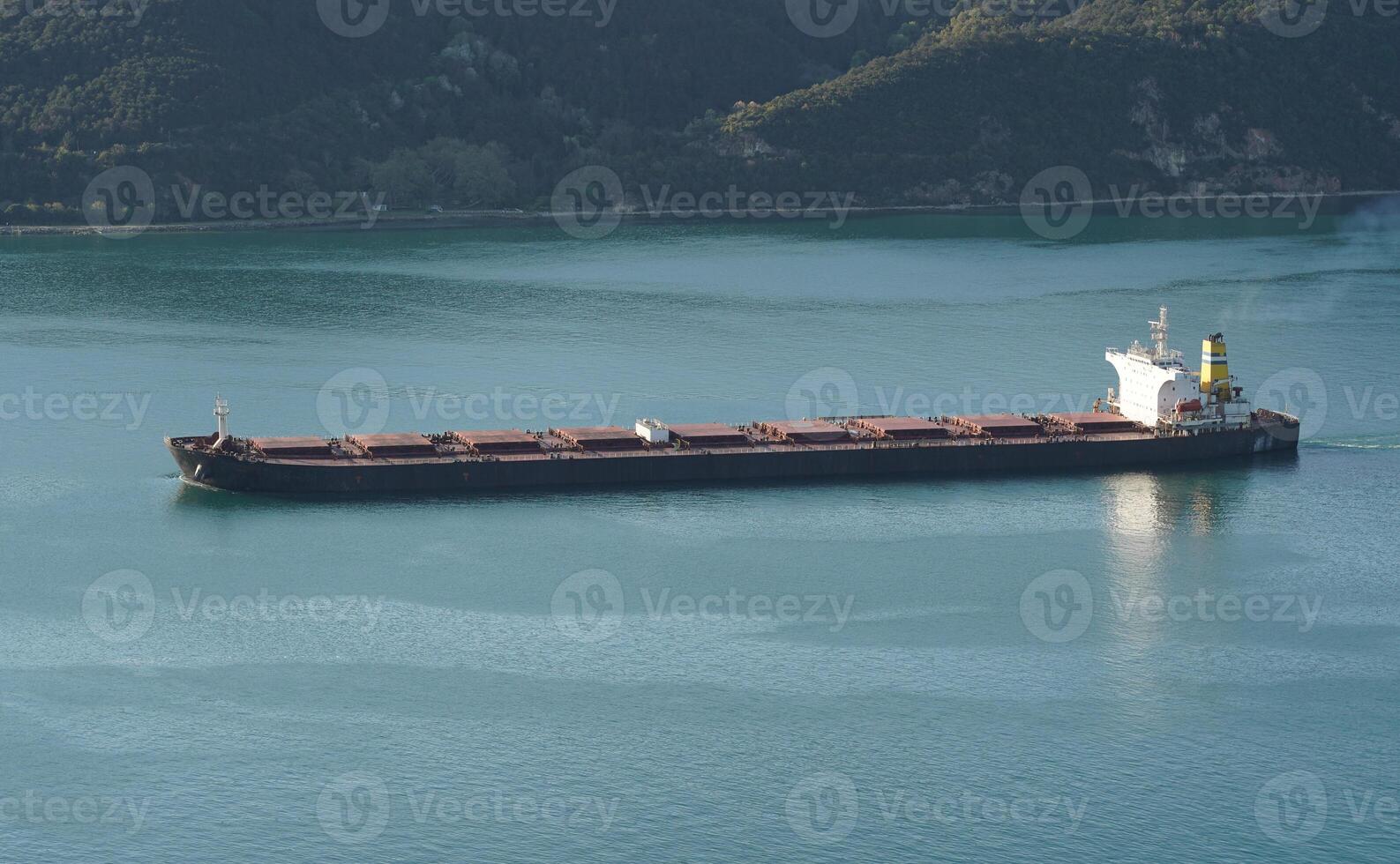 Big Cargo Ship photo