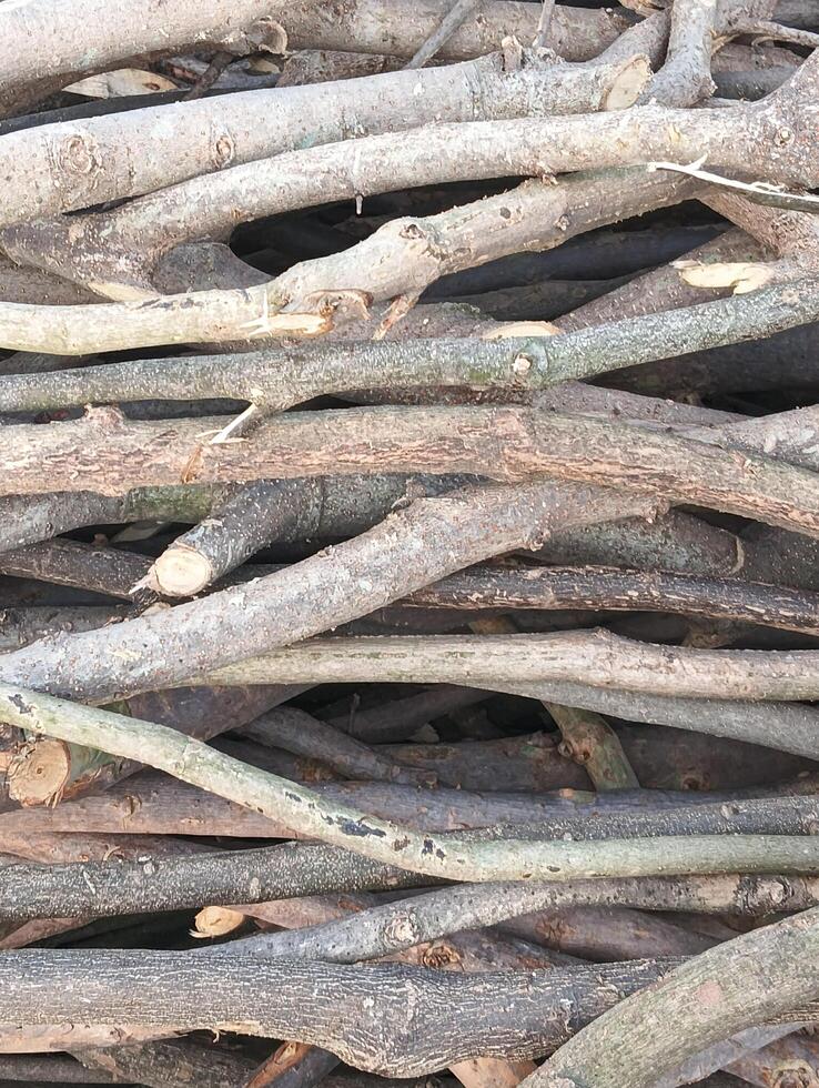 A pile of sticks that are all different sizes photo