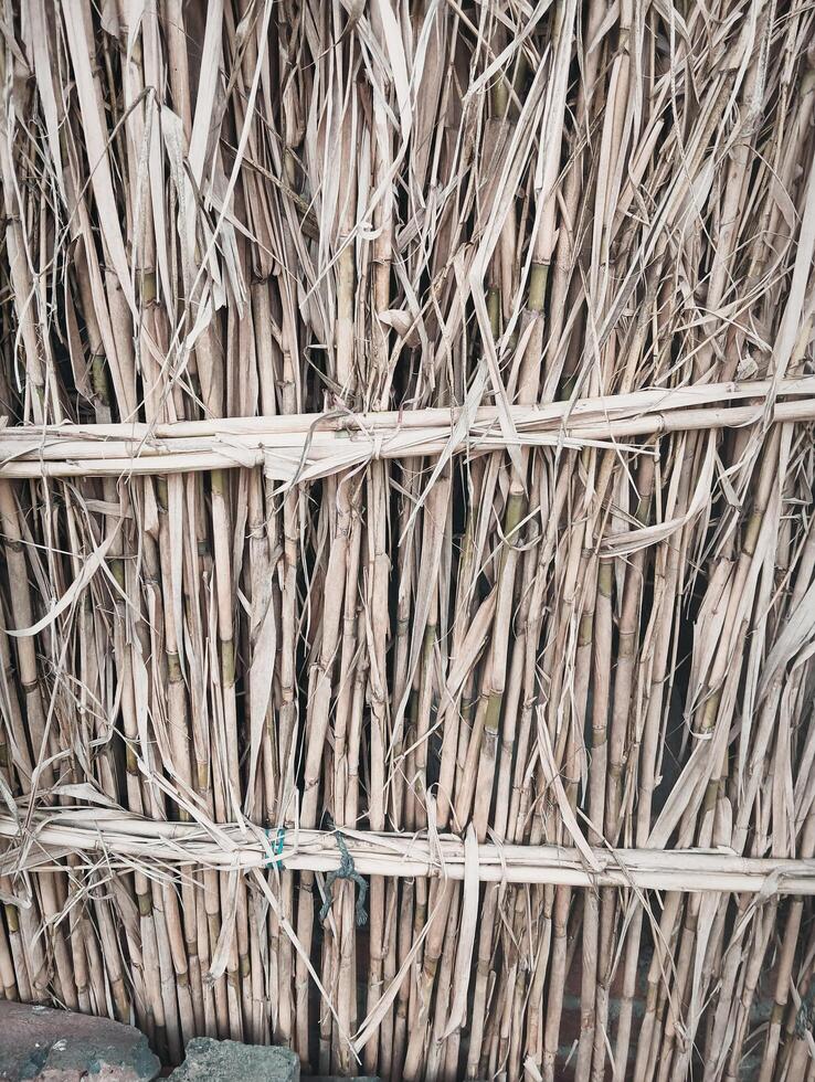 A wall made of sticks with a bench next to it photo