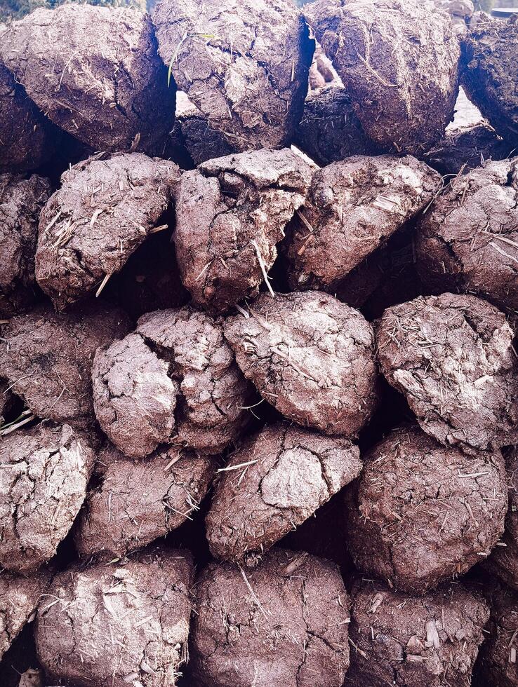 A pile of dirt with a pile of dirt on top photo